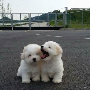 Meet your Posher, Nat!